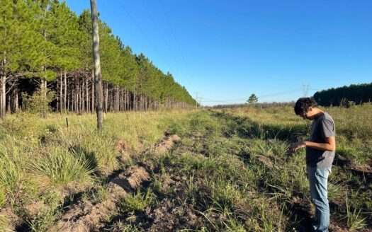 Campo EL CARRIZAL en venta.