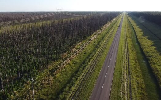 Campo LA NEGRITA en venta