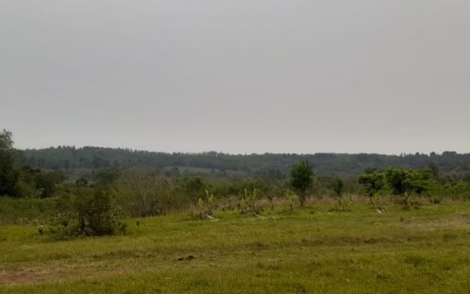 Chacra en Bonpland, Misiones.