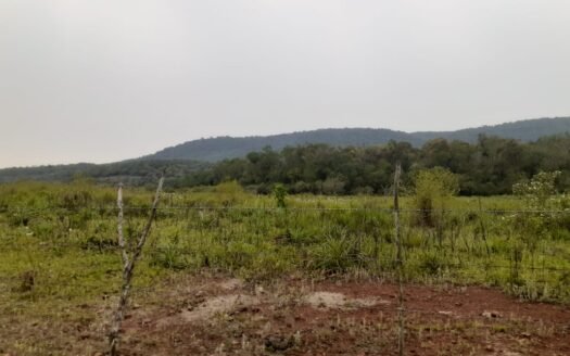 Chacra en Bonpland, Misiones.