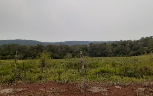 Chacra en Bonpland, Misiones.