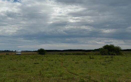 Campo en venta Villa Olivari – Corrientes.