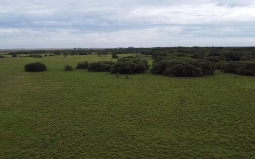 Campo en venta Villa Olivari – Corrientes.