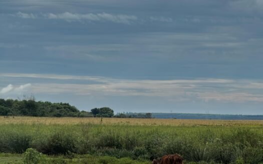 Campo en venta Villa Olivari – Corrientes.