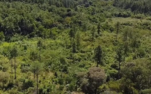 Chacra en venta en Andrade, Mnes.