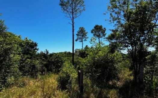 Chacra en venta en Andrade, Mnes.