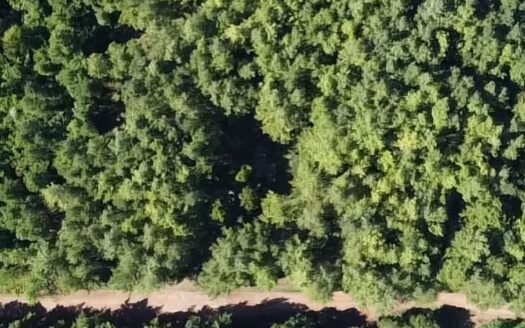 Chacra en venta en Colonia Caá Yarí – Misiones.