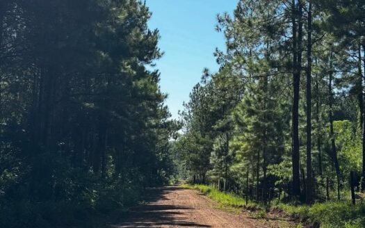 Chacra en venta en Colonia Caá Yarí – Misiones.