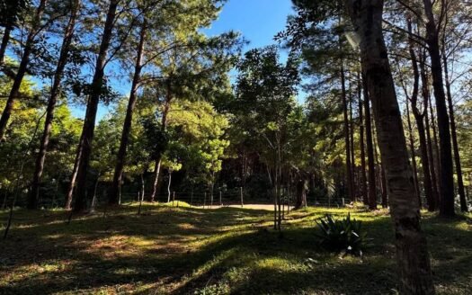 Chacra en venta en Colonia Caá Yarí – Misiones.