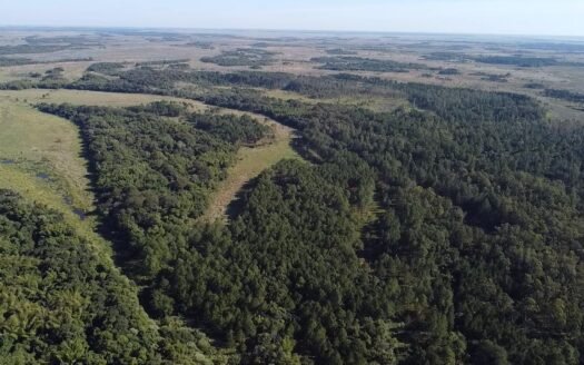 CAMPO en venta en Isla Apipé Grande