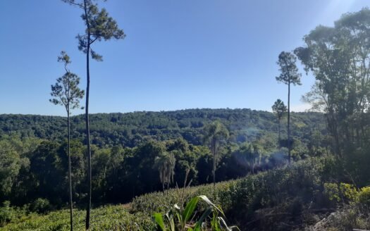 Chacras en venta en 25 de Mayo, Mnes.