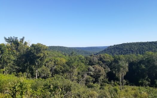 Chacras en venta en 25 de Mayo, Mnes.