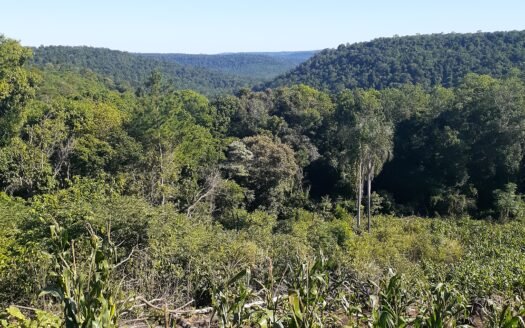 Chacras en venta en 25 de Mayo, Mnes.