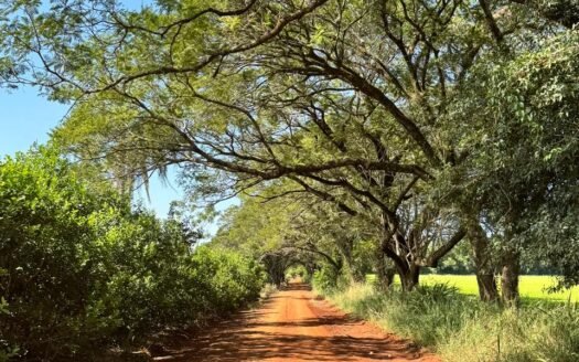 Chacras en venta en Hipólito Yrigoyen, Mnes.