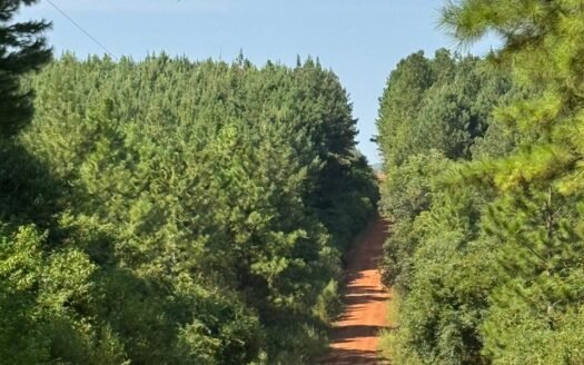 Chacras en venta en Santo Pipó, Mnes.